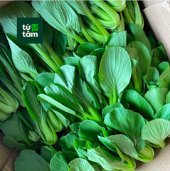 Cải Thìa	| 300g