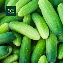 Dưa Leo Việt Nam | 450-500g