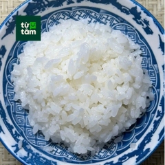 Gạo Nhật Japonica