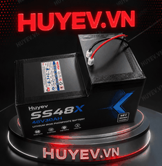 PIN SS48X 48V30AH