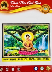 Tranh thêu kín phật thích ca KM090, kích thước 70 x 50 cm