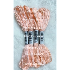 [HCM] 1 tép chỉ thêu cotton theo mã theo hệ DMC, mã từ 300 đến 372