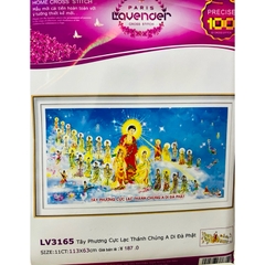 Tranh thêu Tây phương cực lạc thánh chúng a di đà phật LV3165, kích thước 113 x 63 cm