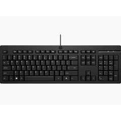 Bàn phím có dây HP 125 (266C9AA) - Hàng chính hãng