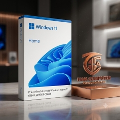 Phần mềm Microsoft Windows Home 11 64bit ESD KW9-00664
