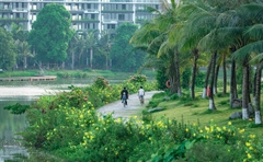 Khu đô thị Ecopark không có cung đường, vỉa hè bê tông