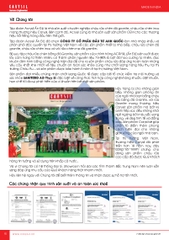 CARYSIL