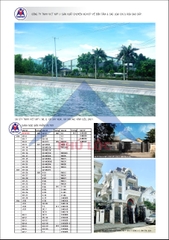 VIỆT MỸ