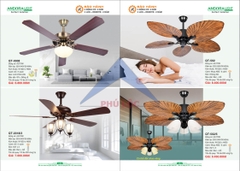 ANDORA LIGHT