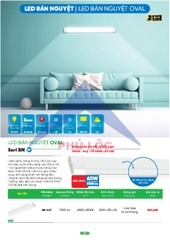 MPE MỚI NHẤT 2026