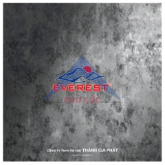 EVEREST HIỆN ĐẠI