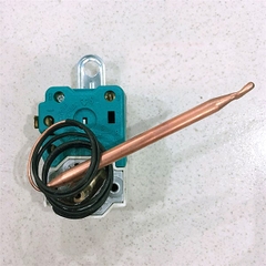 Rơ Le Nhiệt Độ Bình Nước Nóng Picenza (Màu Xanh)