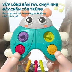 Lục Lạc Cầm Tay Phát Nhạc Cho Bé Sơ Sinh Goodway Rainbow Ball Pusher 3m+