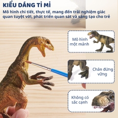 Mô Hình Khủng Long Cao Cấp 24 Con Mideer Dinosaur Toys Set 3+