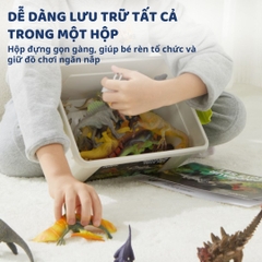 Mô Hình Khủng Long Cao Cấp 24 Con Mideer Dinosaur Toys Set 3+