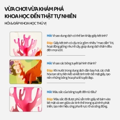 Đồ Chơi Thủ Công Tạo Bông Tuyết Sáng Tạo Mideer Magic Tree 8+