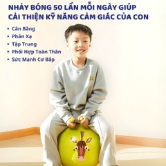 Bóng Hơi Hình Thú Nhún Cho Bé Mideer Sensory Training Bounce Ball 3+