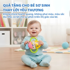 Đồ Chơi Lục Lạc Xúc Xắc Cầm Tay Cho Bé Sơ Sinh Goodway Baby Gym Ball 2m+