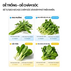 Bộ Trồng Cây Thủy Canh Cho Bé Mideer EasyGrow Garden - Hydro Set 6+