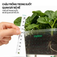 Bộ Trồng Cây Thủy Canh Cho Bé Mideer EasyGrow Garden - Hydro Set 6+