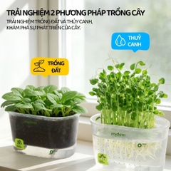 Bộ Trồng Cây Thủy Canh Cho Bé Mideer EasyGrow Garden - Hydro Set 6+