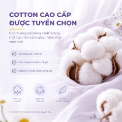 Khăn Lau Mặt Cotton Dùng 1 Lần 60 Tờ Daizy Daily Facial Towel- COMBO 3 Gói