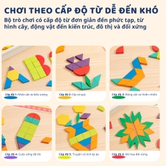 Đồ Chơi Xếp Hình Nam Châm Bằng Gỗ 250 Mảnh Mideer Pattern Blocks 3+