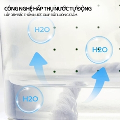 Bộ Trồng Cây Thủy Canh Cho Bé Mideer EasyGrow Garden - Hydro Set 6+