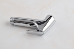 Đầu sịt vệ sịnh giá rẻ GIORMANI DVS01