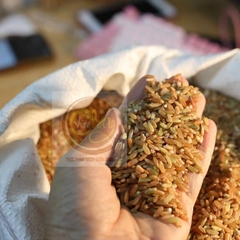 Gạo lứt đỏ dẻo Điện Biên vụ mới 1kg