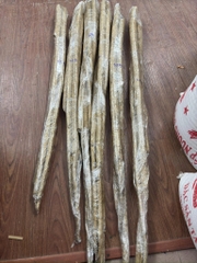 Ngưu bàng Nhật hữu cơ kg