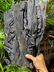 Rong phổ tai kombu 150g