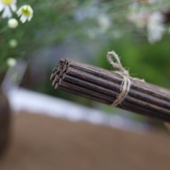 Đũa buông ăn cơm set 10 đôi (hàng đẹp)