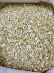 Gạo Séng Cù 6 tháng xát dối kg