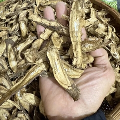 Ngưu bàng khô Vườn Chay 300g