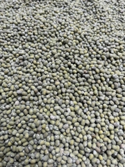 Đậu xanh dân tộc 500g