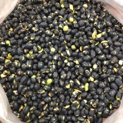 Đậu đen sao 450g (dùng ăn trực tiếp)