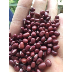 Đậu đỏ hạt nhỏ 500g