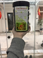 Cao củ hoàng tinh dạng miếng 500g