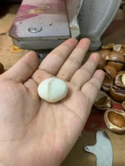 Mắc ca nhân 1/2 500g