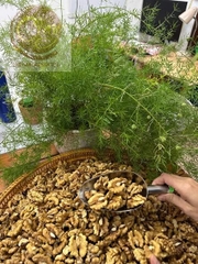 Óc chó nhân Đắc Lăk 500g