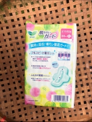 Băng vệ sinh ngày có cánh 20 miếng hàng Nhật