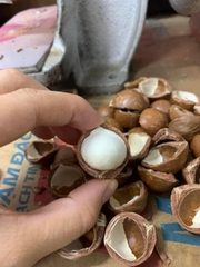 Mắc ca nhân 1/2 500g