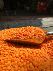 Đậu lăng cam 500g