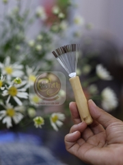 Chổi Nhật vét vừng