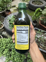 Dầu oliu hữu cơ ép lạnh Bragg 473ml