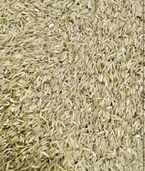 Gạo xát dối Ngỗng ST25 ruộng rươi túi 3kg