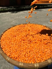 Đậu lăng cam 500g