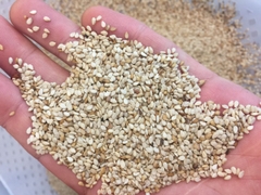 VỪNG VÀNG DÂN TỘC 500g