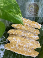 Tempeh đậu gà 500g